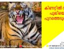 നെല്ലിയാമ്പതി പുലയമ്പാറയില്‍ വീട്ടുമുറ്റത്തെ കിണറ്റില്‍ വീണ പുലിയെ പുറത്തെടുത്തു...