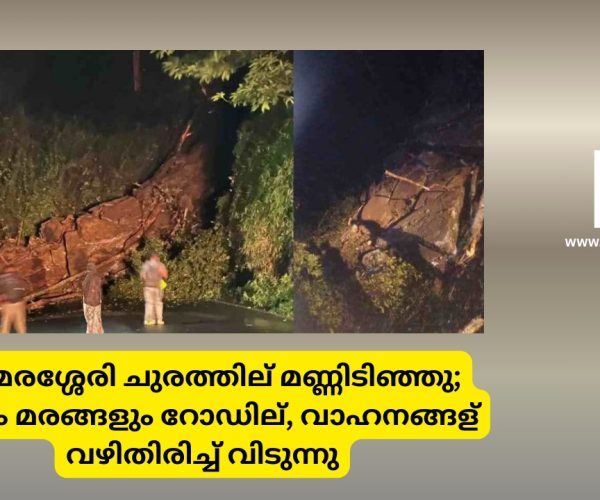 താമരശ്ശേരി ചുരത്തില്‍ മണ്ണിടിഞ്ഞു; കല്ലും മരങ്ങളും റോഡില്‍, വാഹനങ്ങള്‍ വഴിതിരിച്ച് വിടുന്നു...
